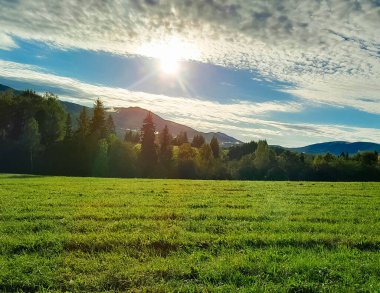 Güneşli bir günde Polonya Bieszczady Dağları 'nın güzel manzarası. Karpatların güzelliğini keşfetmek.
