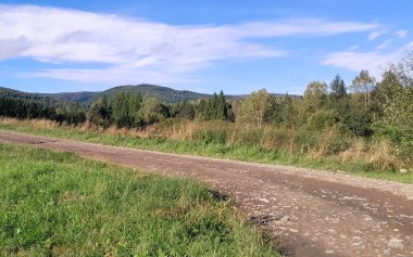 Güneşli bir günde Polonya Bieszczady Dağları 'nın güzel manzarası. Karpatların güzelliğini keşfetmek.