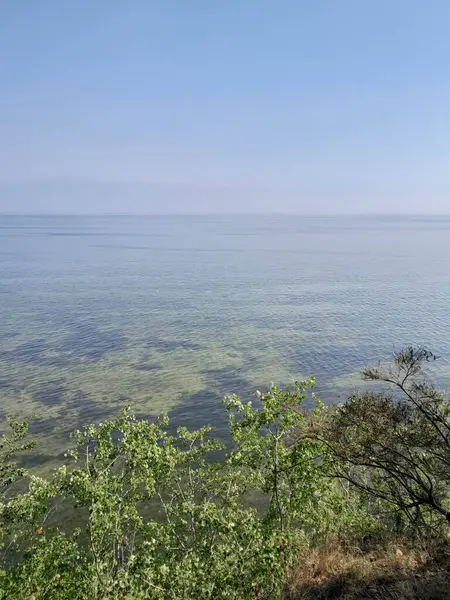 Seascape of Baltic Sea crystal water, seaweed and sea bottom. Copy space over horizon.