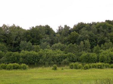 Ormanın önündeki küçük gölet. Kashubia bölgesindeki yaz doğasının güzelliği. Kuzey Polonya.