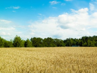 Kashubia 'da hava bulutlu. Gelen yağmur.