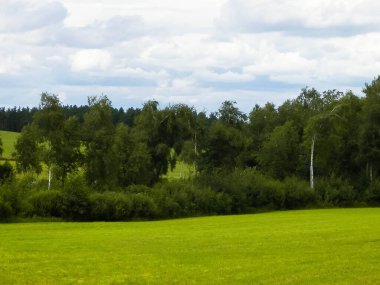 Tarlalar, tepeler ve çayırlar. Polonya 'daki Kazhubia' nın tipik labirentleri. Doğanın güzelliği.