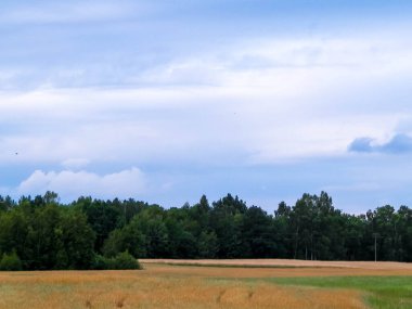 Kashubia 'da hava bulutlu. Gelen yağmur.