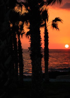 Günbatımında Kıbrıs 'ta tropik Perivolia sahilleri.