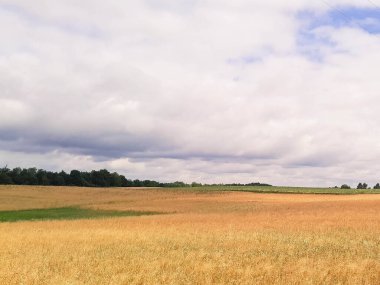 Kashubia 'da kara bulutlar var. Fırtına yaklaşıyor. Kuzey Polonya 'nın şaşırtıcı doğası.