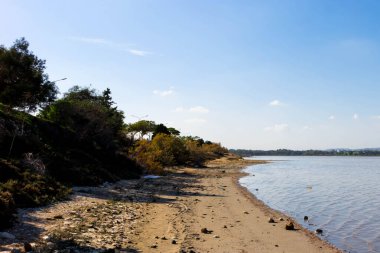 Larnaka Gölü, Kıbrıs. Larnaka yakınlarındaki Salt Gölü 'nde. Flamingo kuşlarının doğal yaşam alanı.