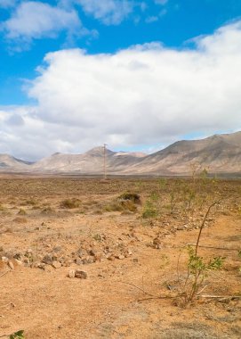Lanzarote Adası 'nda çöl. Kanarya takımadalarının saf doğası.