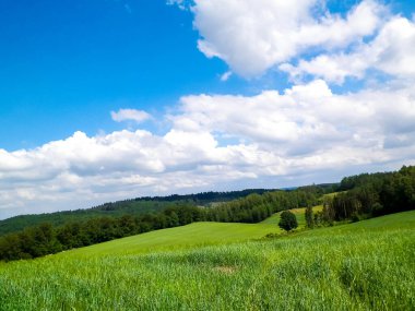 Wiezyca Kashubia bölgesinin tepeleri ve tarlaları, Polonya. Seyahat ve doğa kavramı.