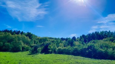 Ormanın ortasında bir çayır olsa ne güzel olurdu. Kuzey Polonya 'da dondurucu bahar.