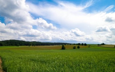 Wiezyca Kashubia bölgesinin tepeleri ve tarlaları, Polonya. Seyahat ve doğa kavramı.