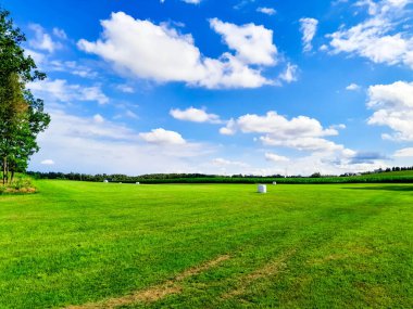 Tarladaki saman demetleri. Kashubia 'da tarım Kuzey Polonya' da.