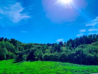 Ormanın ortasında bir çayır olsa ne güzel olurdu. Kuzey Polonya 'da dondurucu bahar.