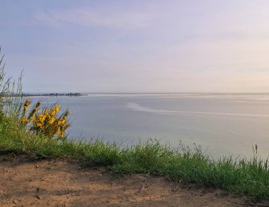 Sabahları Baltık Denizi 'nin doğal güzelliği. Kuzey Polonya.