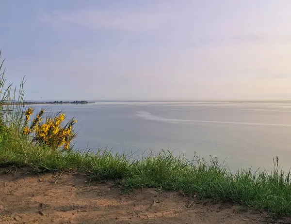 Sabahları Baltık Denizi 'nin doğal güzelliği. Kuzey Polonya.