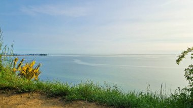 Sabahları Baltık Denizi 'nin doğal güzelliği. Kuzey Polonya.