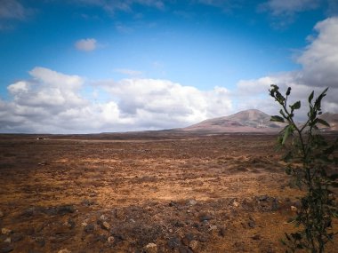 Lanzarote Adası 'nda çöl. Kanarya takımadalarının saf doğası.