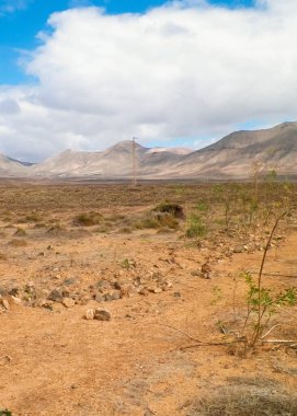 Lanzarote Adası 'nda çöl. Kanarya takımadalarının saf doğası.
