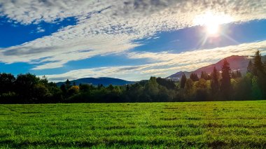 Güneşli bir günde Polonya Bieszczady Dağları 'nın güzel manzarası. Karpatların güzelliğini keşfetmek.