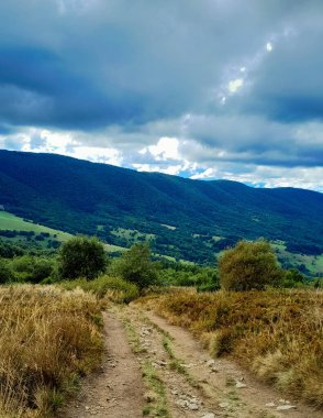 Dağın tepesinden Bieszczady 'nin güzel manzarası. Dağ turizmi.