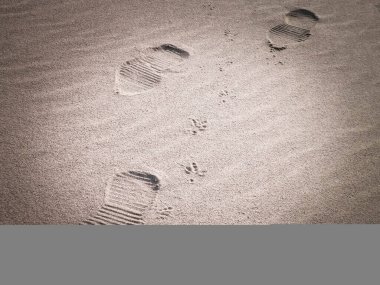 Sahilde ya da çölde yürüyen gezginler. Doğal arkaplan.