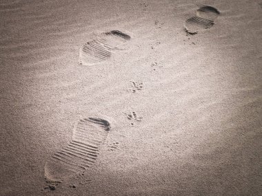 Sahilde ya da çölde yürüyen gezginler. Doğal arkaplan.