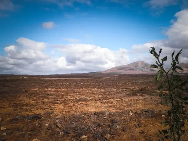 Lanzarote Adası 'nda çöl. Kanarya takımadalarının saf doğası.
