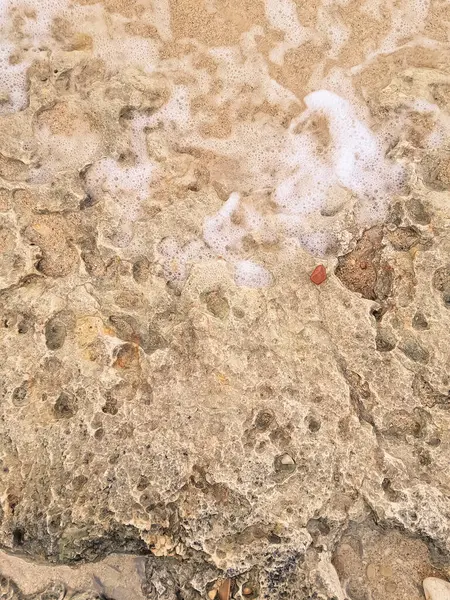 Doğal bir arka plan olarak kıyı kayaları ve deniz suyu. Boşluğu kopyala.