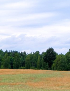 Kashubia 'da hava bulutlu. Gelen yağmur.