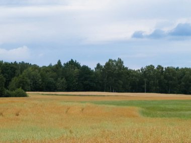 Kashubia 'da hava bulutlu. Gelen yağmur.