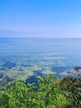 Seascape of Baltic Sea crystal water, seaweed and sea bottom. Copy space over horizon.