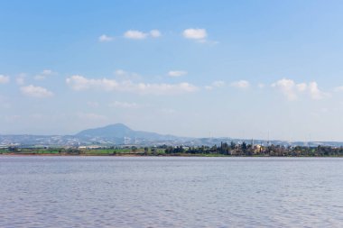 Larnaka Gölü, Kıbrıs. Larnaka yakınlarındaki Salt Gölü 'nde. Flamingo kuşlarının doğal yaşam alanı.
