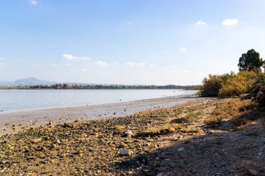 Larnaka Gölü, Kıbrıs. Larnaka yakınlarındaki Salt Gölü 'nde. Flamingo kuşlarının doğal yaşam alanı.