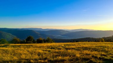 Blotnia Dağı 'ndaki çayır. Polonya 'da yandaşlar.