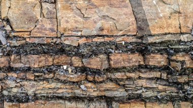 Doğal arka plan olarak kayalık duvar. Boşluğu kopyala.