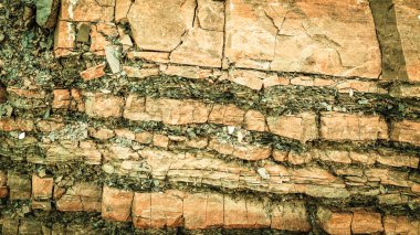 Doğal arka plan olarak kayalık duvar. Boşluğu kopyala.