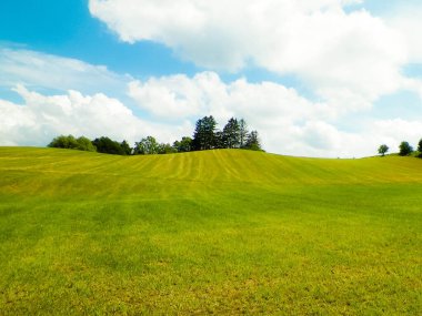 Yazın Kashubia 'nın çarpıcı doğası. Yeşil tarlalar, tepeler ve çayırlar.