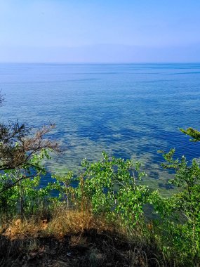 Seascape of Baltic Sea crystal water, seaweed and sea bottom. Copy space over horizon.