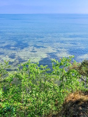Seascape of Baltic Sea crystal water, seaweed and sea bottom. Copy space over horizon.