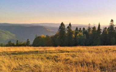 Güneydoğu Polonya 'daki Beskides Dağları. İnanılmaz bir doğa olayı..