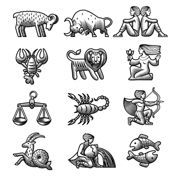 Set Von Symbolen Mit Tierkreiszeichen Gravurstil Isoliert Auf Weiß — Stockvektor