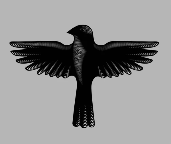 Siyah Uçan Bir Kuşun Oymalı Vintage Çizimi — Stok Vektör