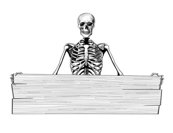 Human Skeleton Full Length Full Face Long Wood Board Banner — Stock Vector