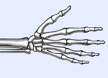 İskelet avuç içini aç