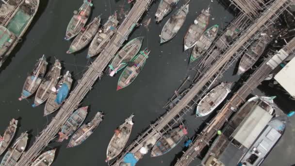 ケイリング タンジュンプリオク 北ジャカルタのスラムと密集した人口密集した地域の桟橋にドッキングされたボートの空撮映像 — ストック動画