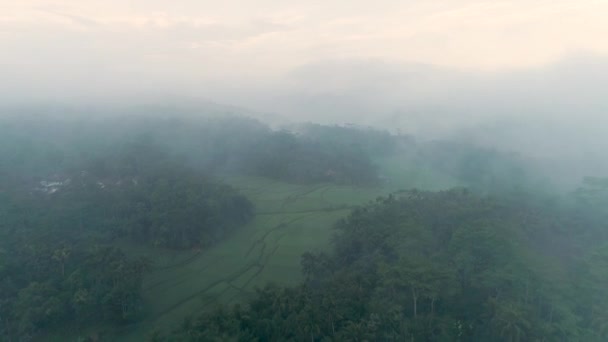 Aerial Footage Beautiful View Rice Fields Cloudy Morning Banyumas Central — Stok Video