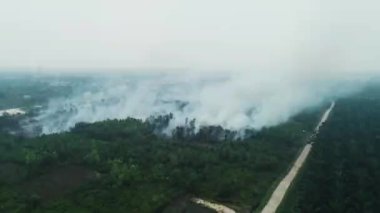 Riau, Endonezya 'daki orman yangınlarının dramatik hava görüntüleri: 124; Kebakan Hutan Riau 4K İHA