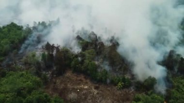 Riau, Endonezya 'daki orman yangınlarının dramatik hava görüntüleri: 124; Kebakan Hutan Riau 4K İHA