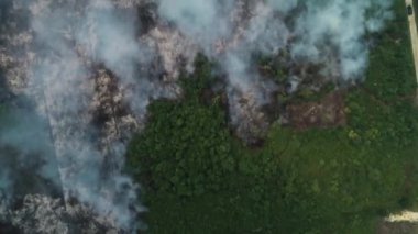 Riau, Endonezya 'daki orman yangınlarının dramatik hava görüntüleri: 124; Kebakan Hutan Riau 4K İHA