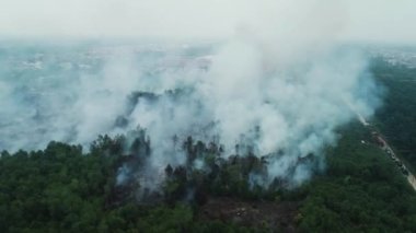 Riau, Endonezya 'daki orman yangınlarının dramatik hava görüntüleri: 124; Kebakan Hutan Riau 4K İHA