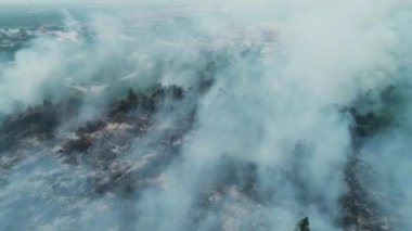 Riau, Endonezya 'daki orman yangınlarının dramatik hava görüntüleri: 124; Kebakan Hutan Riau 4K İHA